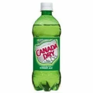 American Classic Ginger Ale 20oz