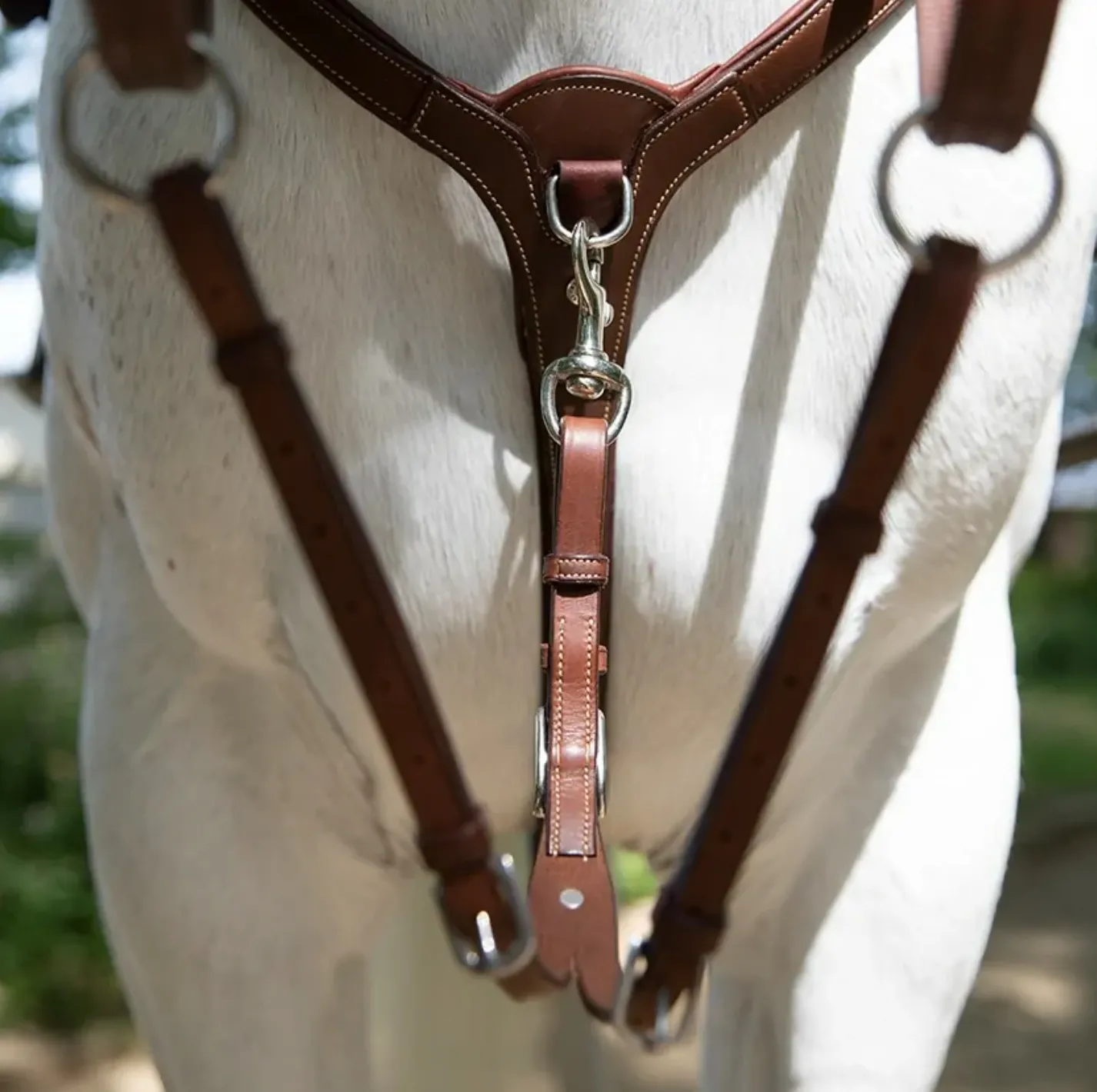 Antares Origin Running Martingale Attachment