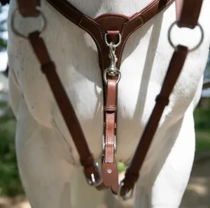 Antares Origin Running Martingale Attachment