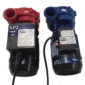 Aqua-Flo XP2 2.0HP (4.8 BHP) - 1-Speed Flo-Master - Spa Jet Booster Pump - NLS