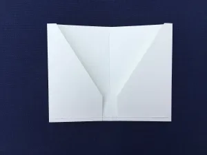 Field Notes SuedeTex® Pocket Insert