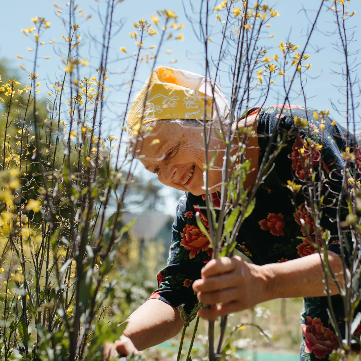 Gardener's Bandana | Gold