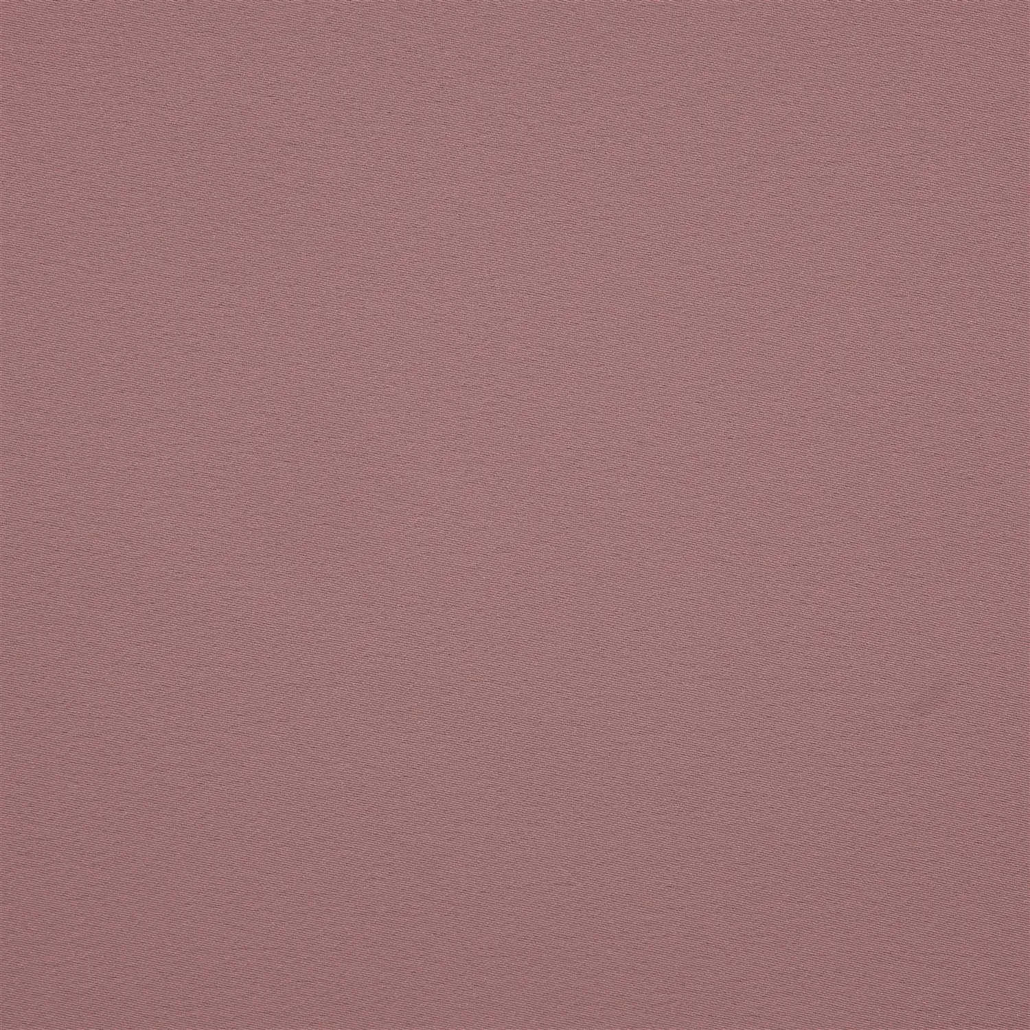 HALLEY SATIN