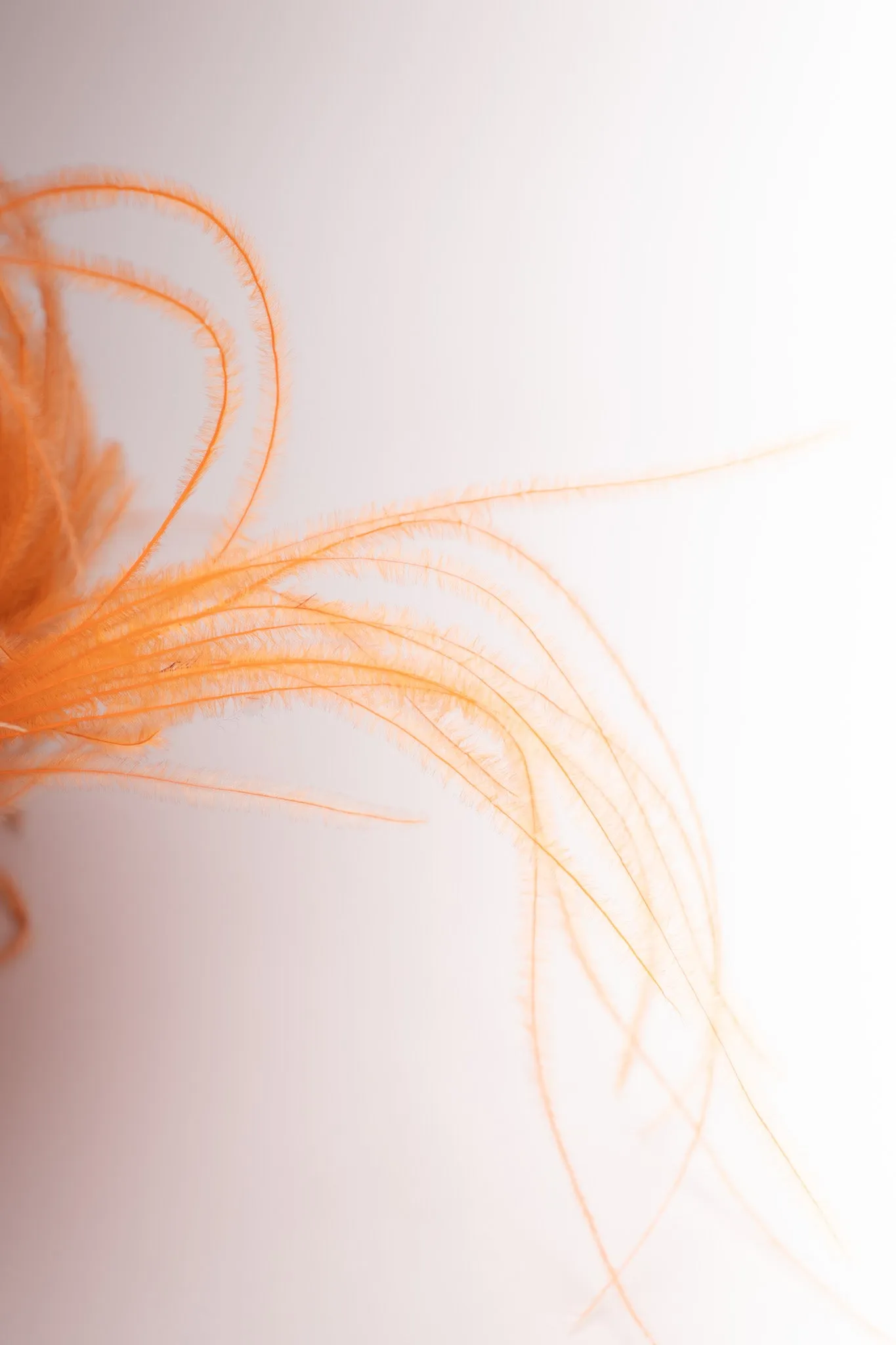 Ostrich Feather Straw Bucket Hat