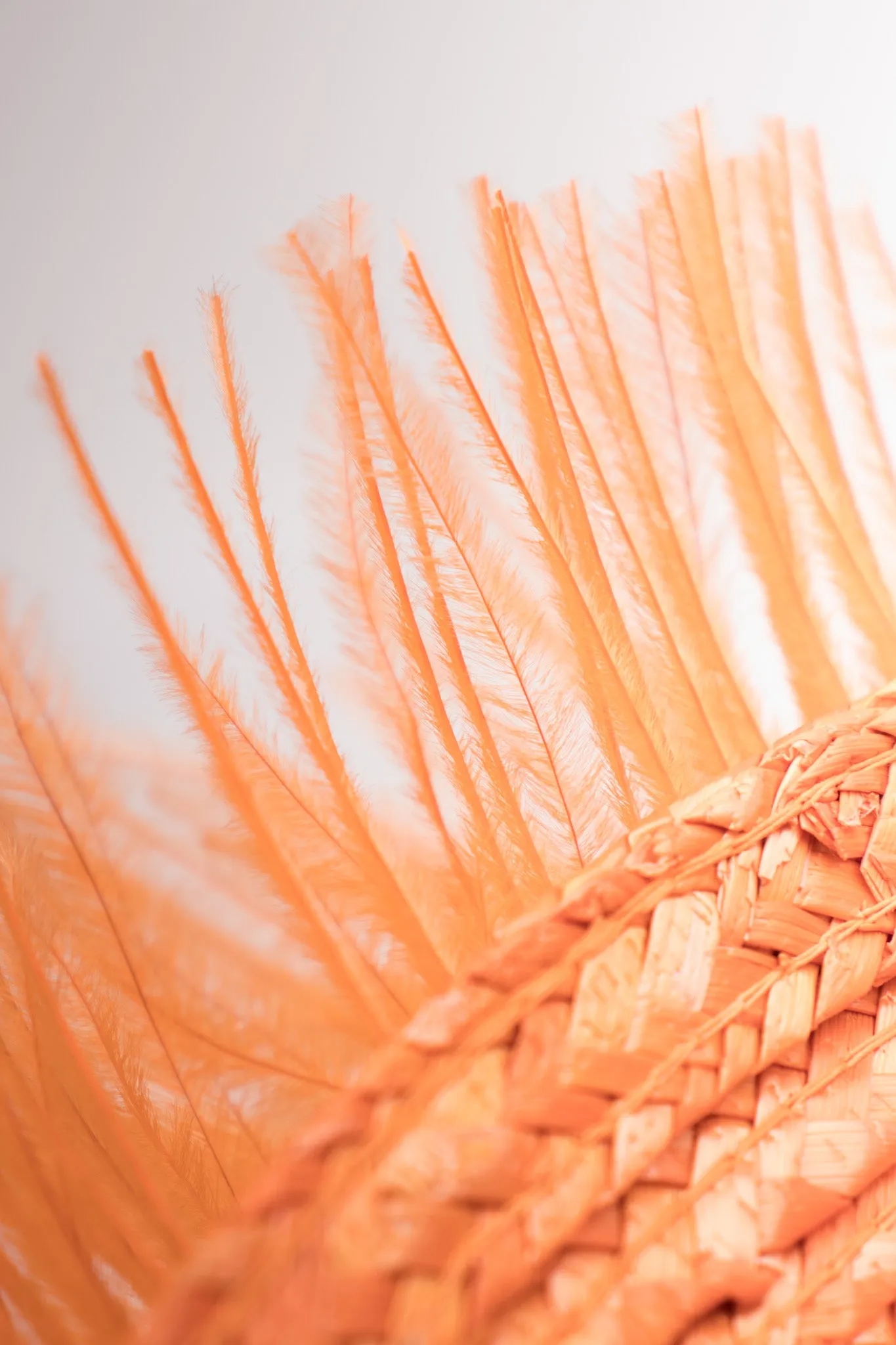 Ostrich Feather Straw Bucket Hat