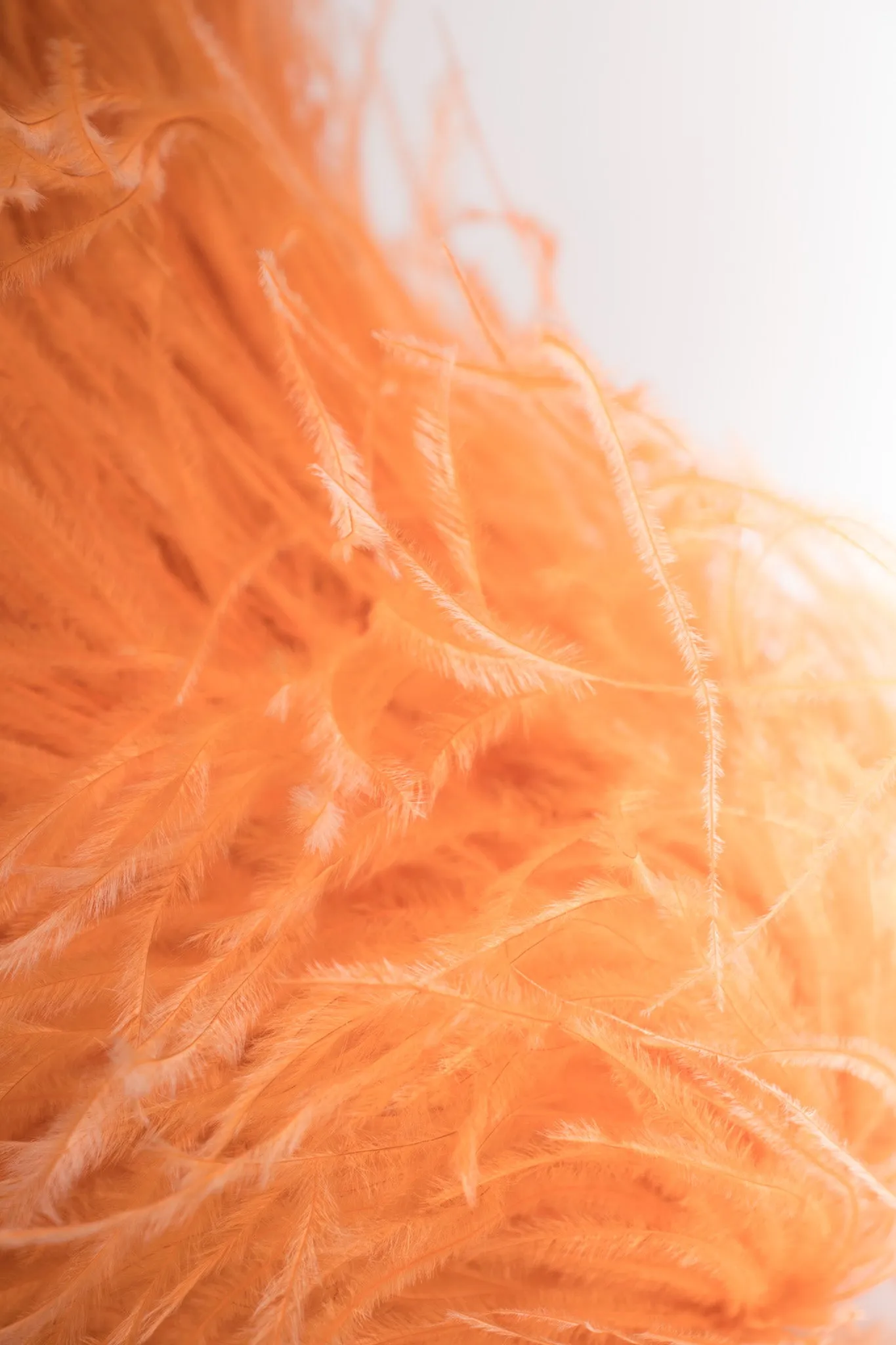 Ostrich Feather Straw Bucket Hat