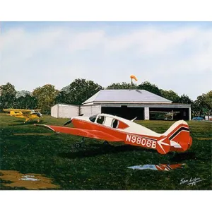 Reflections Limited Edition Sam Lyons Print
