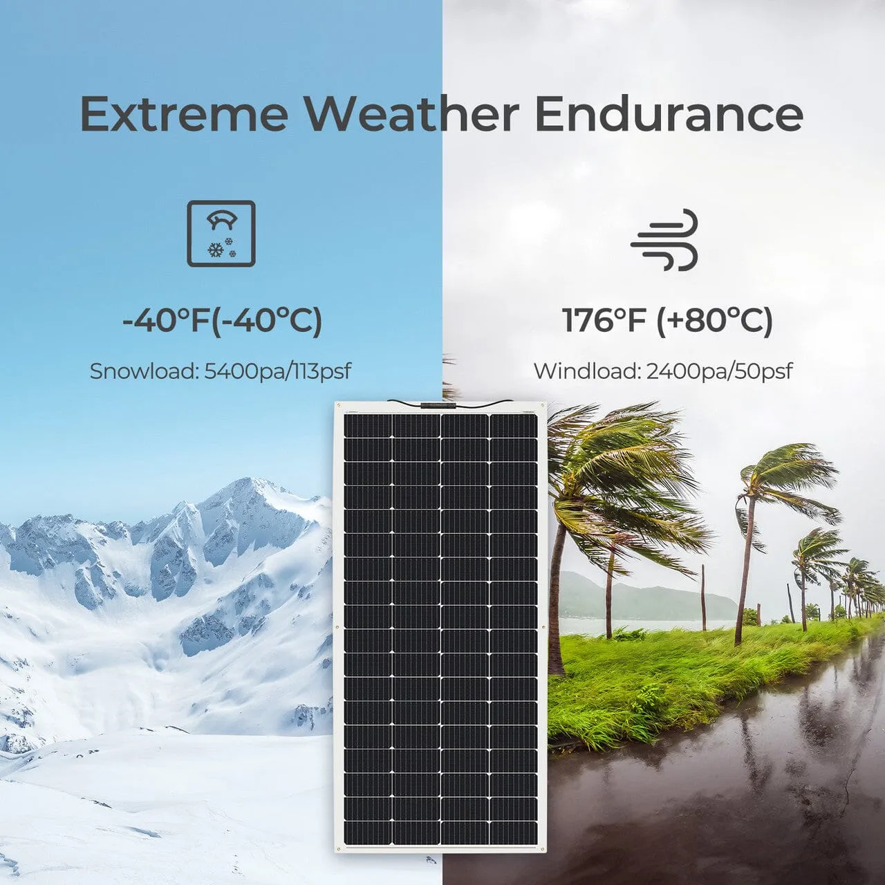 Renogy 200-Watt 12-Volt Flexible Monocrystalline Solar Panel