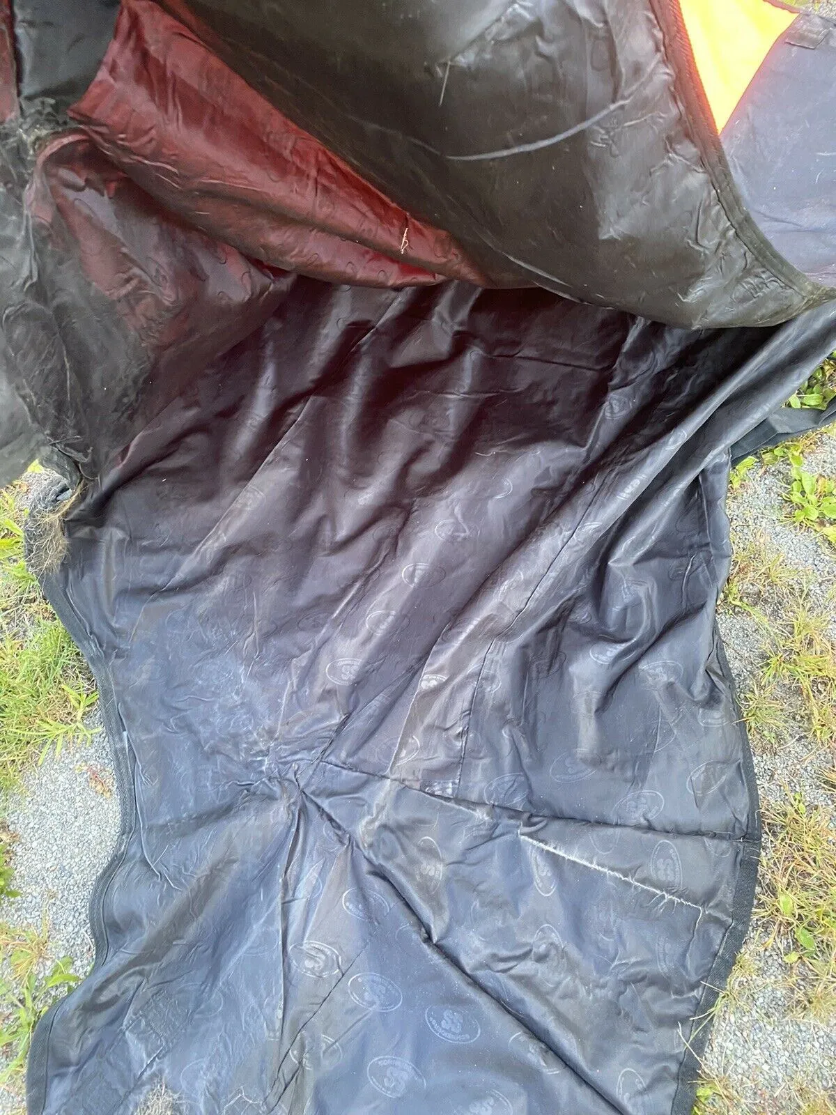 Schnieders storm shield turnout blanket Sheet lightweight waterproof orange 80”