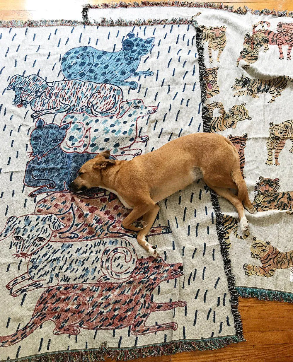 Sprinkled Dogs and Cats Totem Blanket