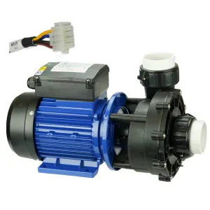 SX300-2 - 3HP - 2-Speed Jet Pump - Universal Spa Booster Pump - Spatex